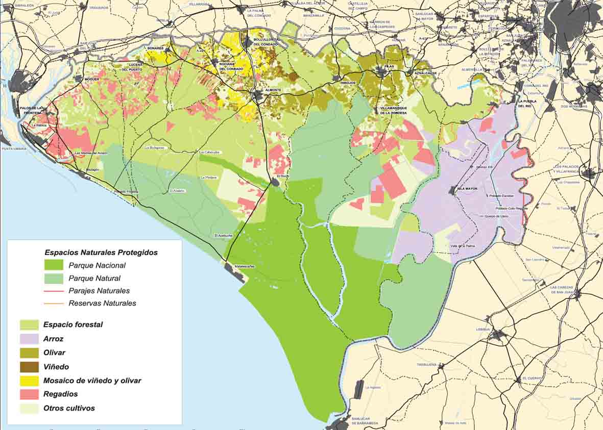 001 · mapa_espacio_agrario_doñana_reducido