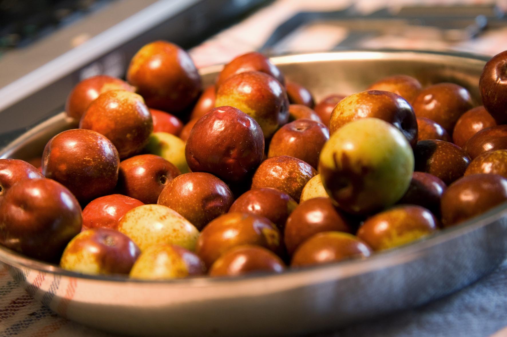 436 · azufaifo_normal_fruto_pepin